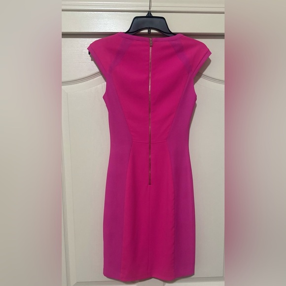 NWOT Women’s Ted Baker Pink Sheath Dress. Size 0 (US 2). - Picture 2 of 7